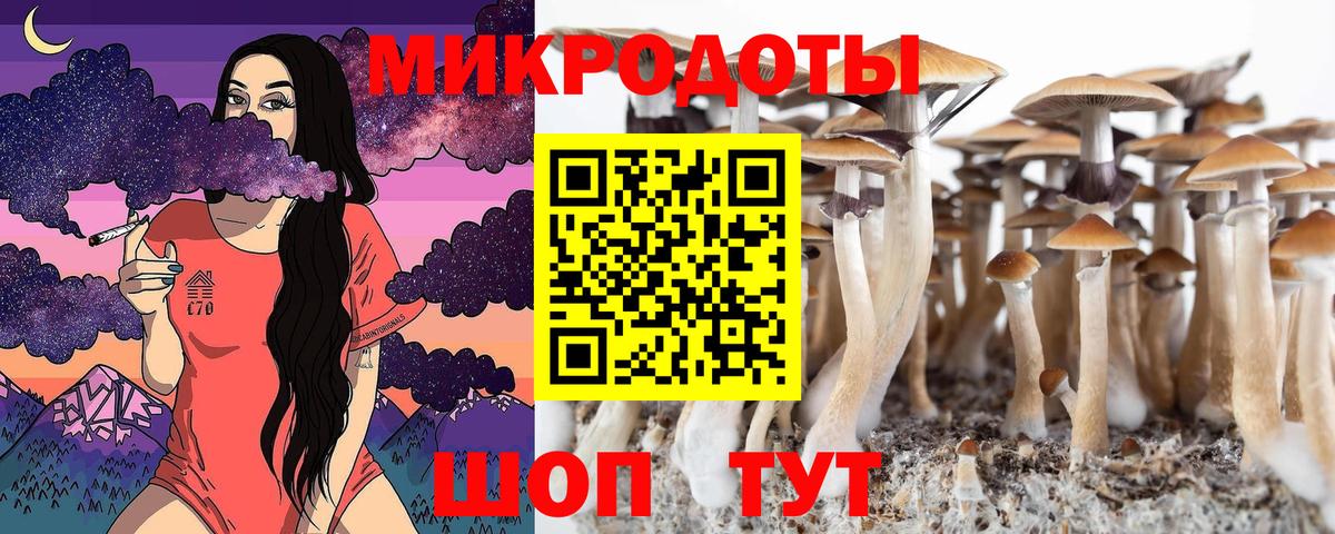 Похвистнево  даркнет сайт  Вход с VPN  Галлюциногенные грибы мухоморы  Псилоцибиновые грибы GOLDEN TEACHER 