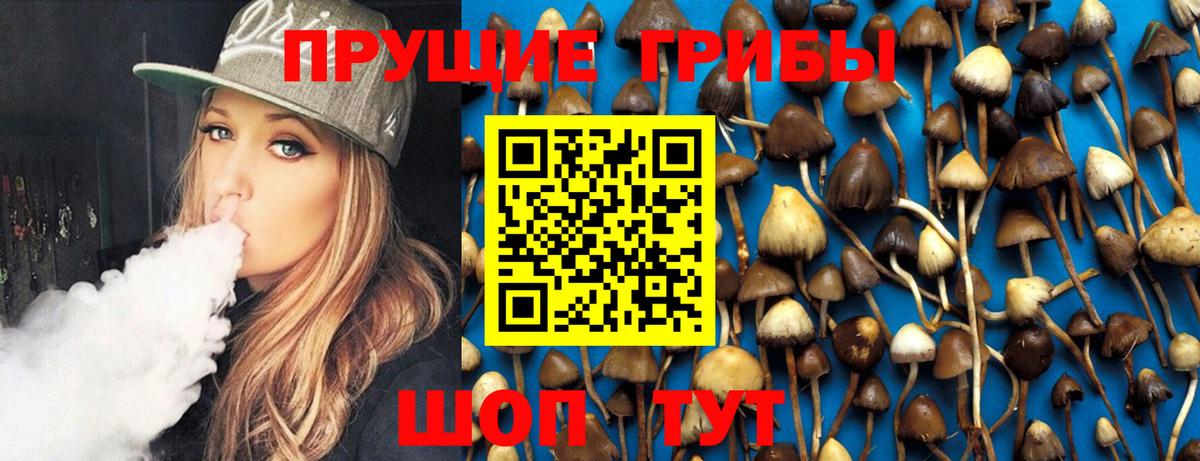 Галлюциногенные грибы Psilocybine cubensis Похвистнево